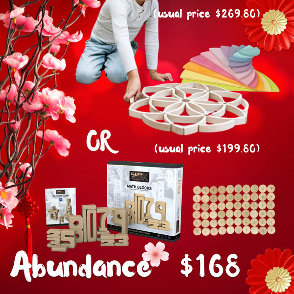 BUNDLE CNY Happiness 168 - SUMBLOX home set 47pcs + GRAPAT Coins to count (Usual Price: $234.80)