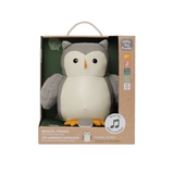 Little Big Friends Musical Friends - Colette the Owl (NEW)