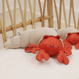 Little Big Friends Musical Friends - Brigitte the Hermit Crab - playhao - Toy Shop Singapore